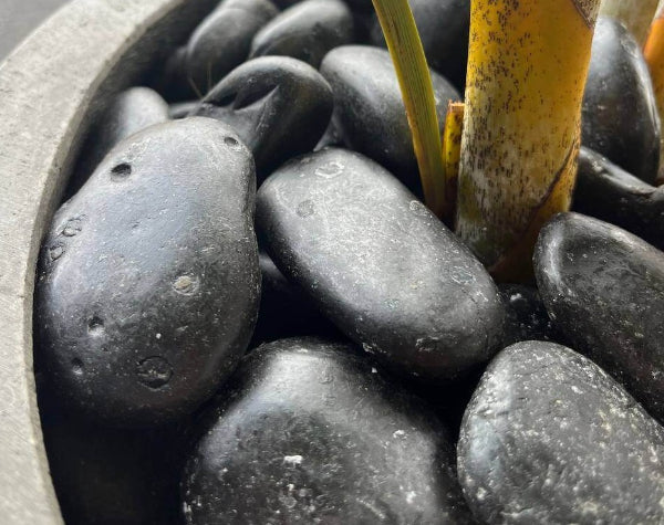 GARDEN PEBBLES - BLACK SAND NATURAL TUMBLED GARDEN PEBBLES