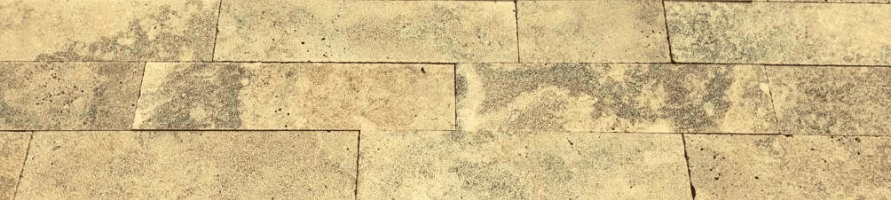 AVAILABLE IN STOCK NOW