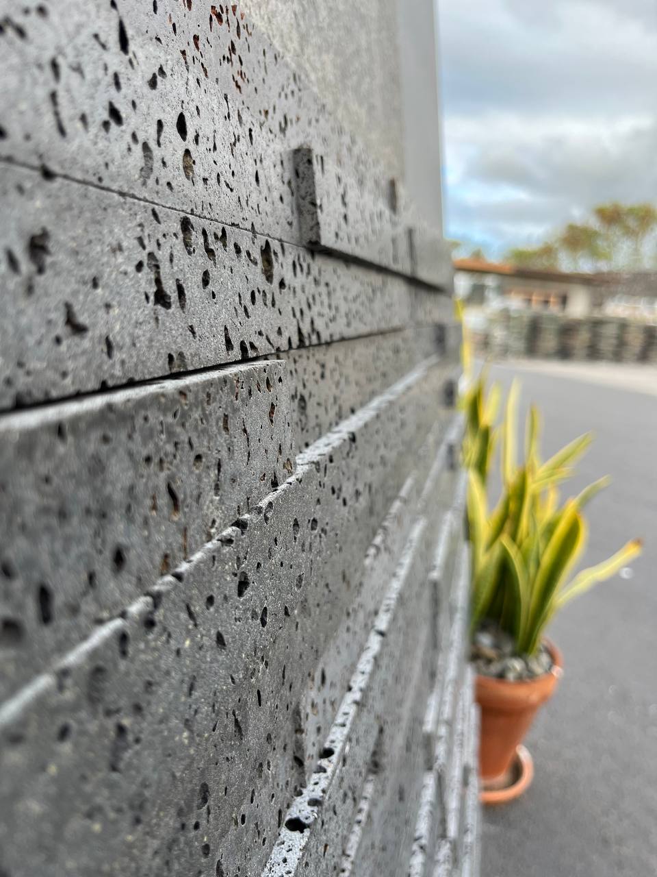 PUKA LAVA GREY Basalt honed ledger 24" x 8" x 3/4-1 1/4" (1.33 SF/PC)