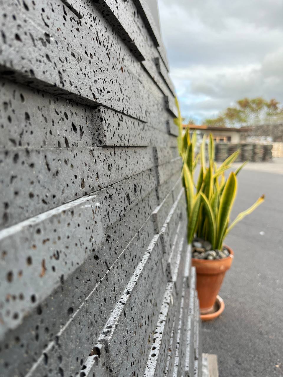 PUKA LAVA GREY Basalt honed ledger 24" x 8" x 3/4-1 1/4" (1.33 SF/PC)