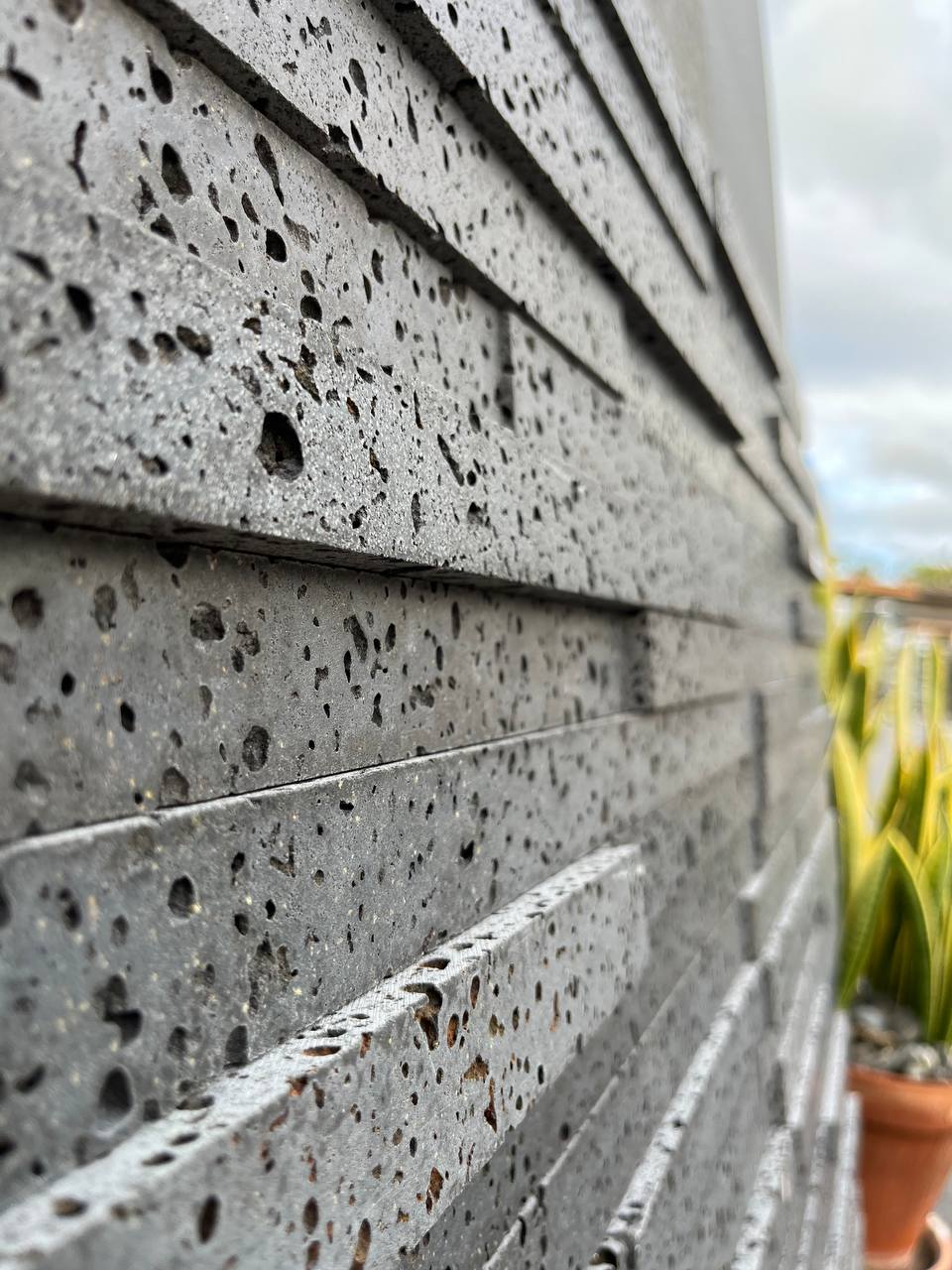 PUKA LAVA GREY Basalt honed ledger 24" x 8" x 3/4-1 1/4" (1.33 SF/PC)