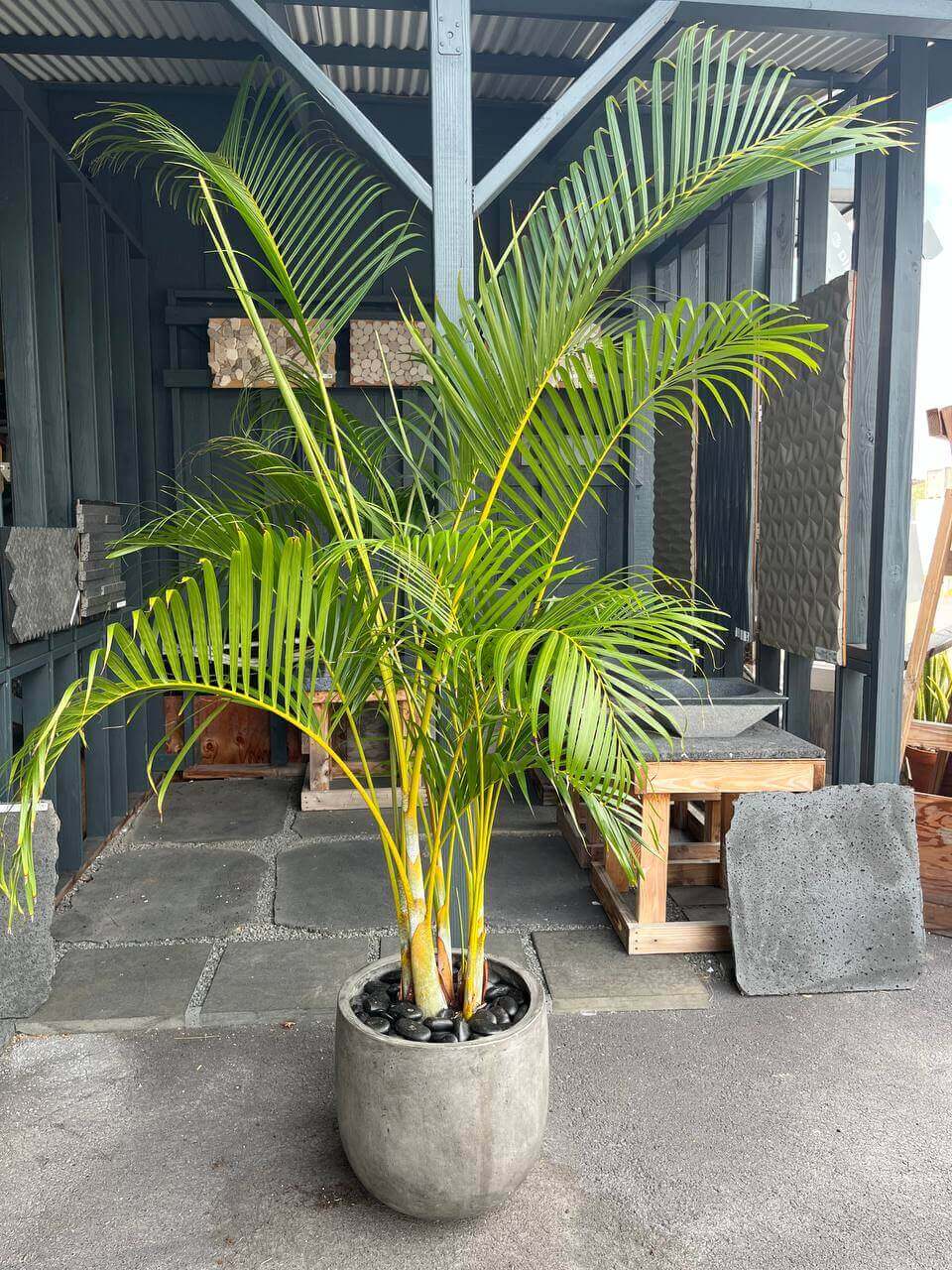 Black Sand Natural Tumbled Garden Pebbles Havaiiano - Rocks in Stock
