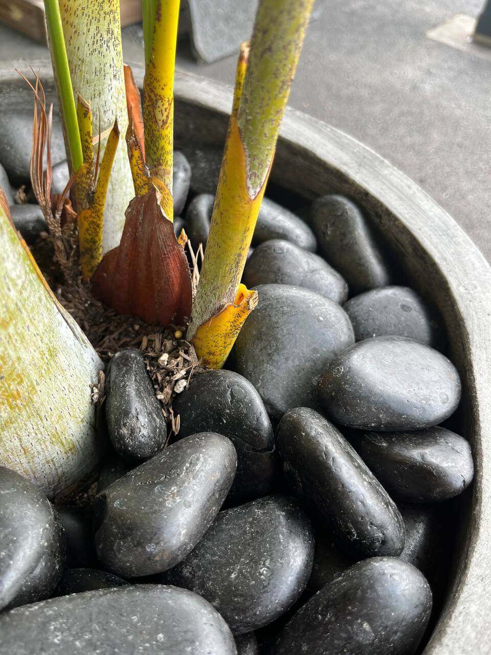 Black Sand Natural Tumbled Garden Pebbles Havaiiano - Rocks in Stock