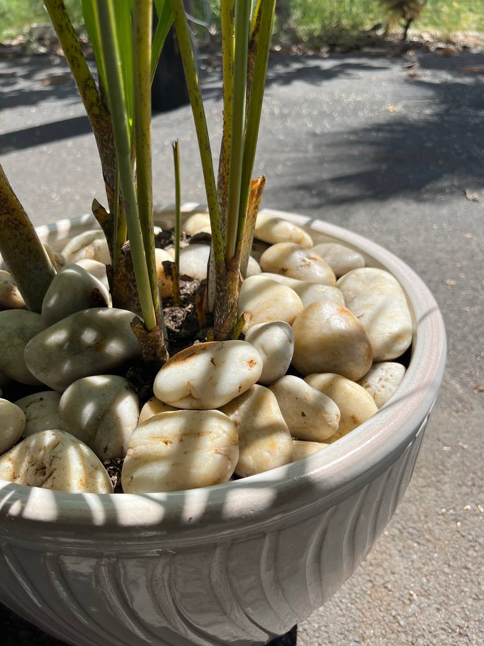 Sunset Natural Tumbled Garden Pebbles Havaiiano - Rocks in Stock