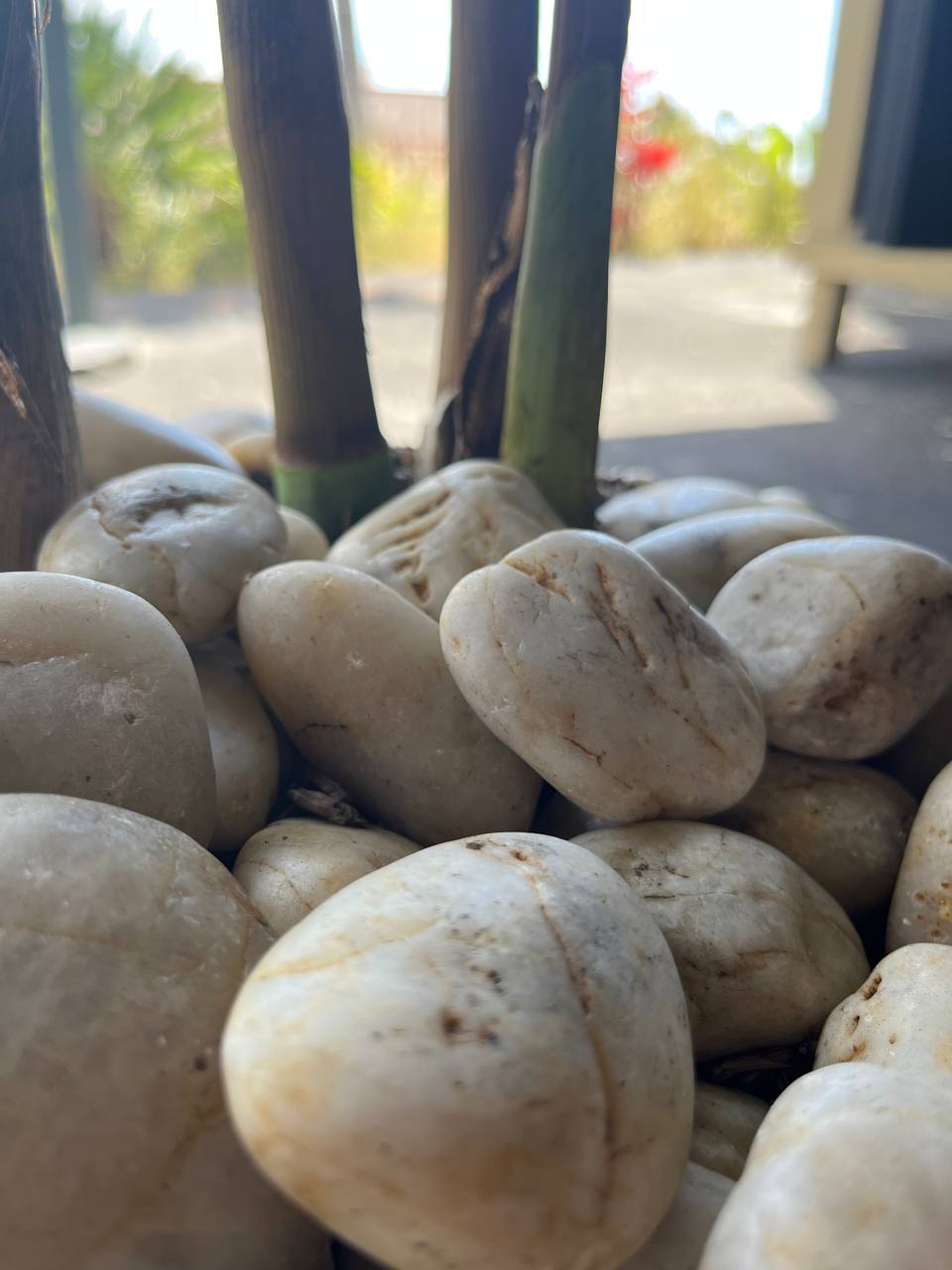 Sunset Natural Tumbled Garden Pebbles Havaiiano - Rocks in Stock
