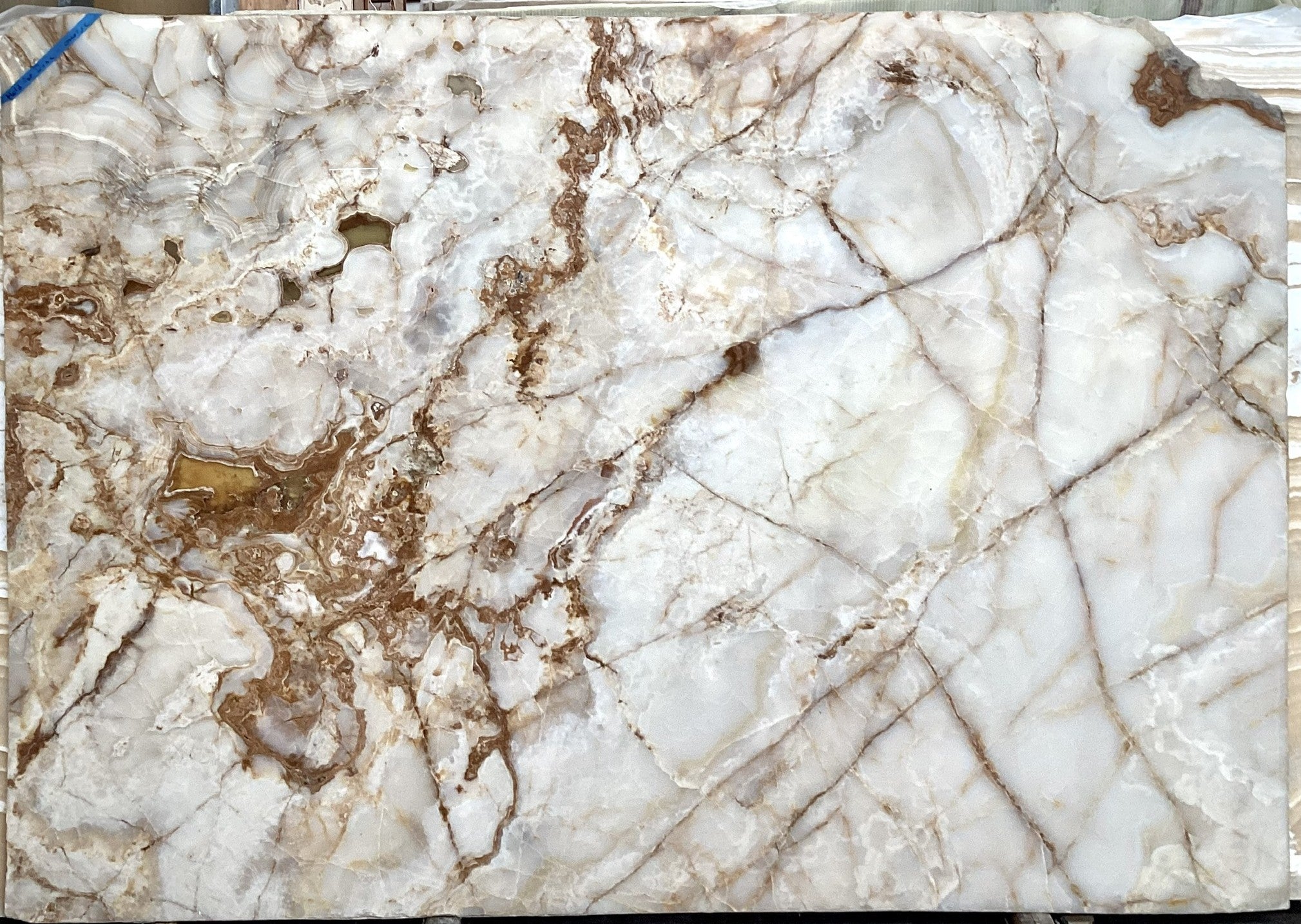 WHITE TERRANOVA Onyx polished 2cm thick - Slab