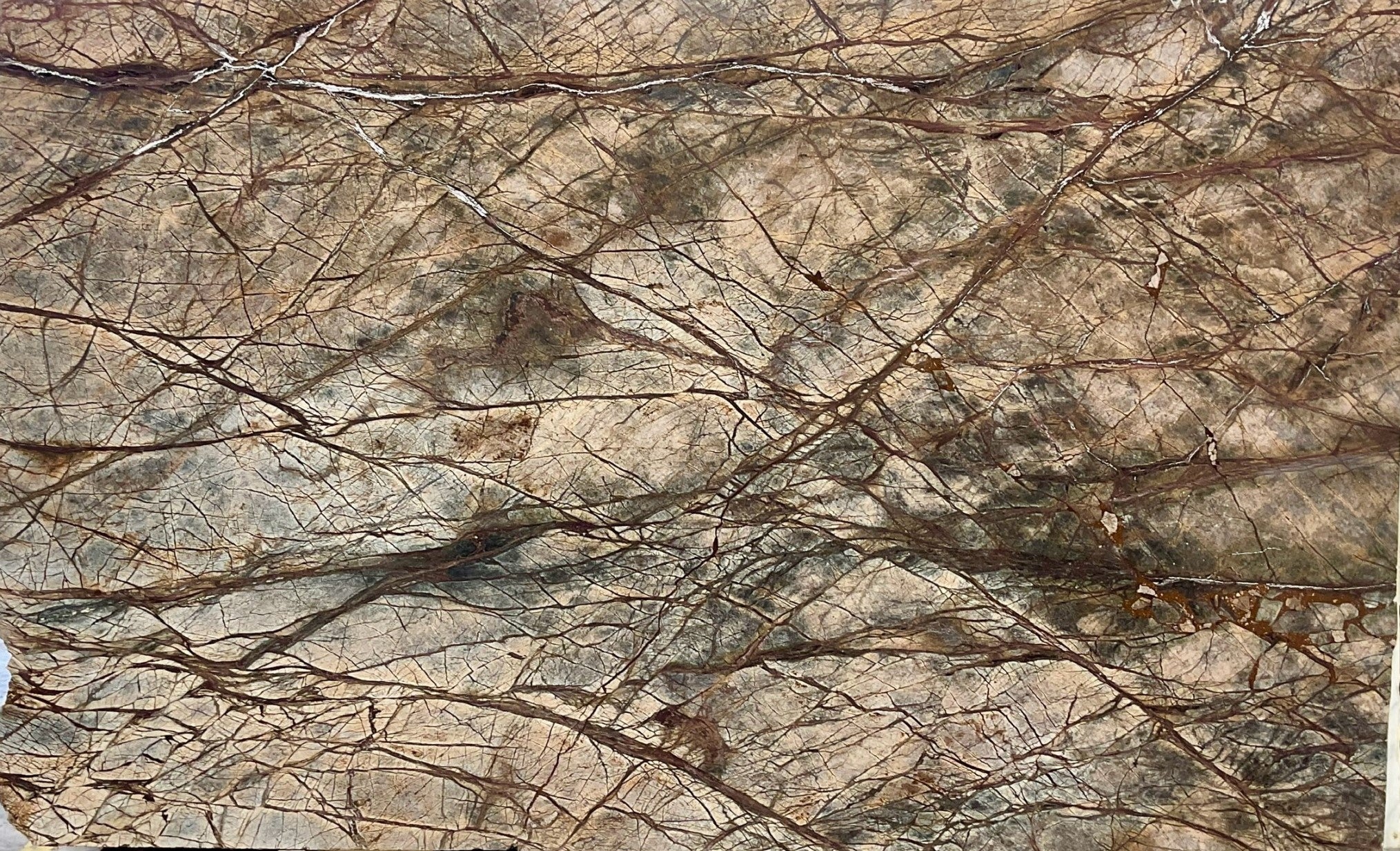 RAINFOREST BROWN Marble polished 2cm thick - Slab