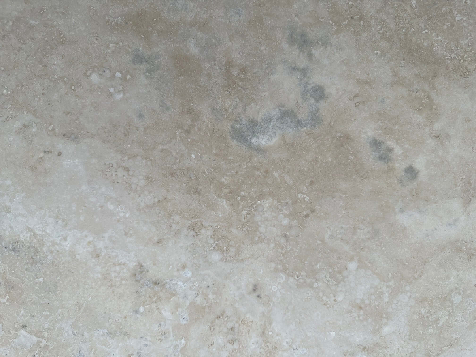 Lilac Light Travertine honed filled 24x12 Tile - Rocks in Stock