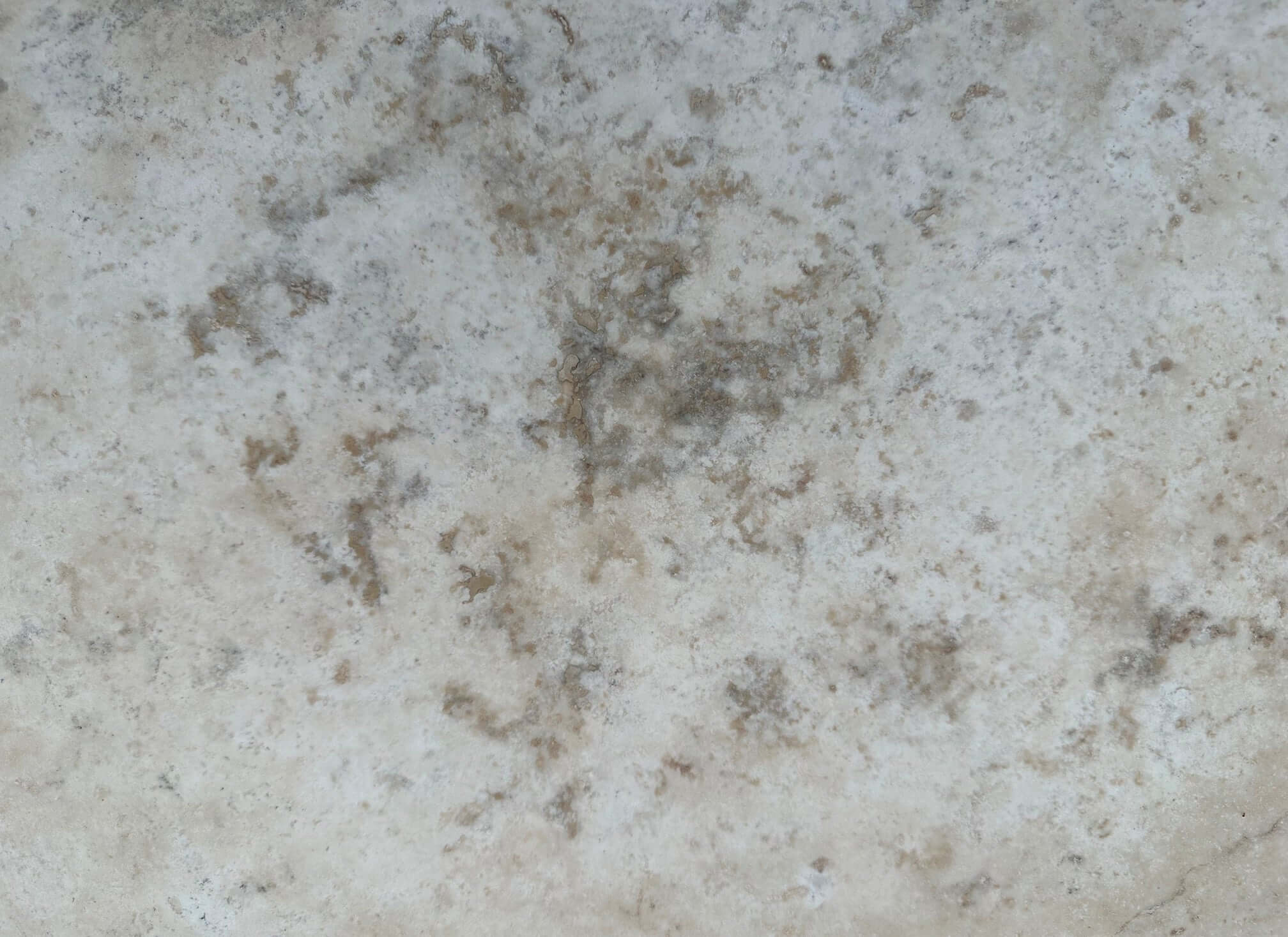 Lilac Light Travertine honed filled 24x12 Tile - Rocks in Stock