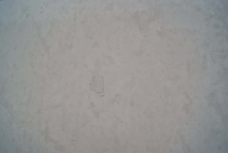 Novelda Creme Limestone honed 2cm thick slab - Rocks in Stock
