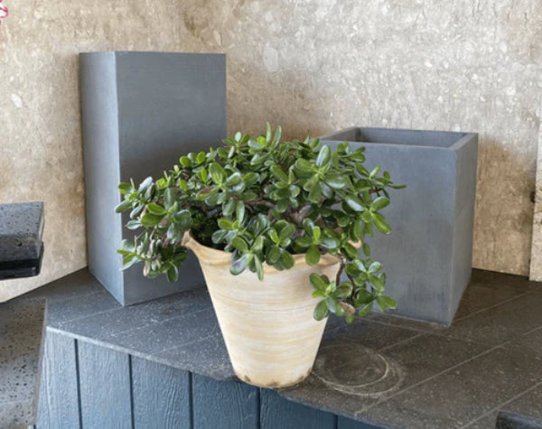 PLANTER - SOLID LAVA GREY PLANTER