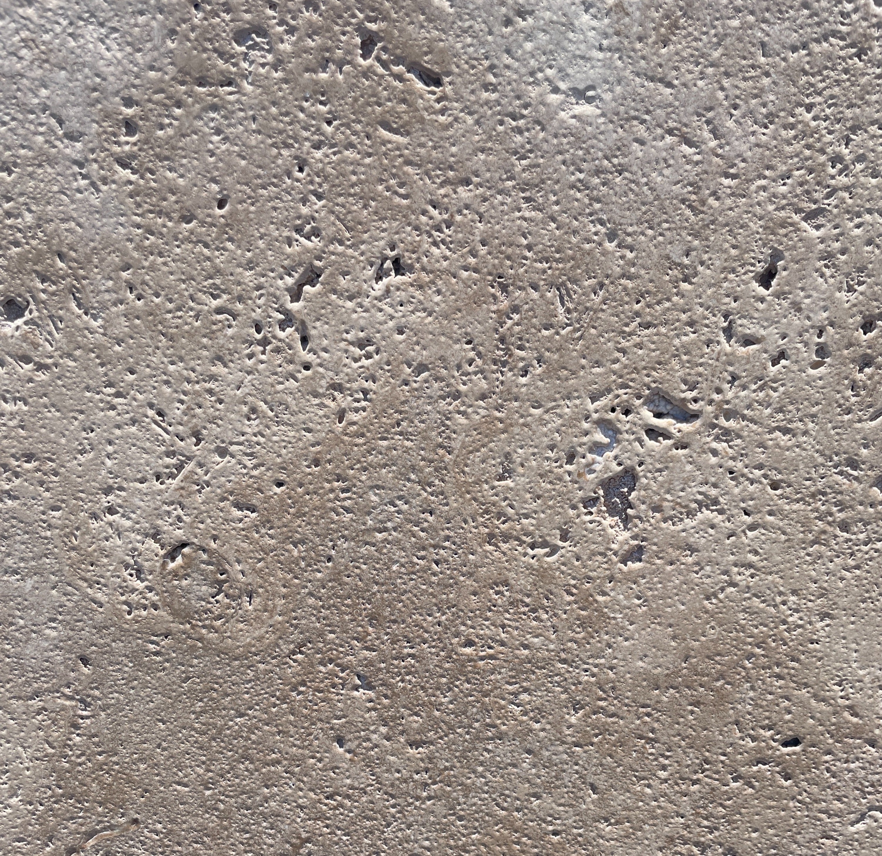 LIGHT WALNUT Travertine brushed/unfilled 2cm thick - Slab