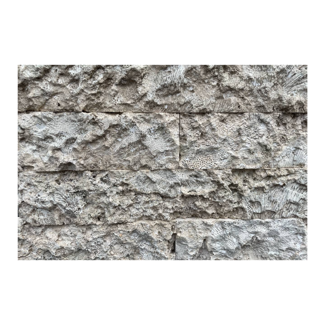 CORAL - STRAIGHT EDGE, Large Chiseled - Wall Veneer