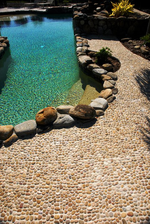 Pebble-Mosaic-MALUKU TAN Pebble Mosaic Cloud- Stone Supplier - Rocks in Stock
