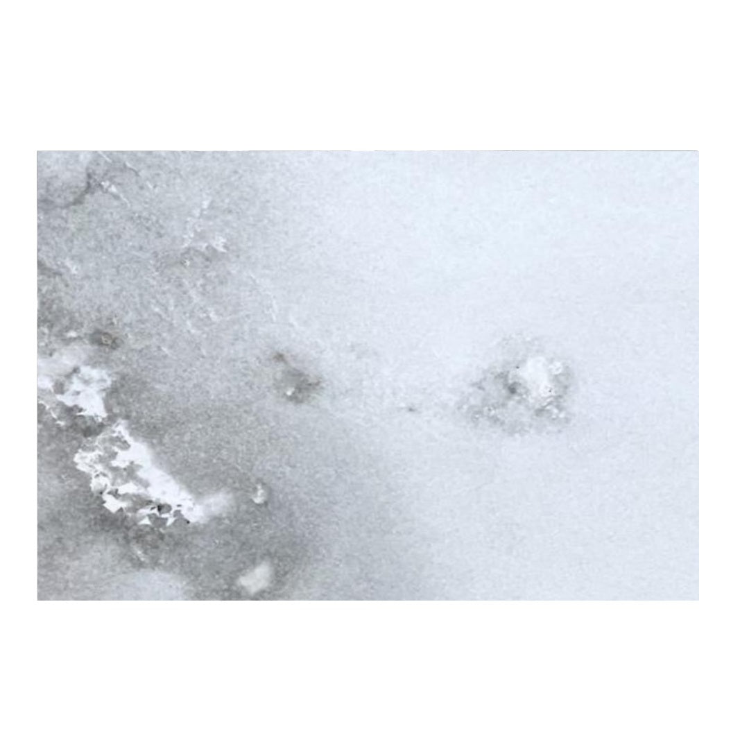 CALACATTA PIENZA Dolomite honed 3cm thick - Slab