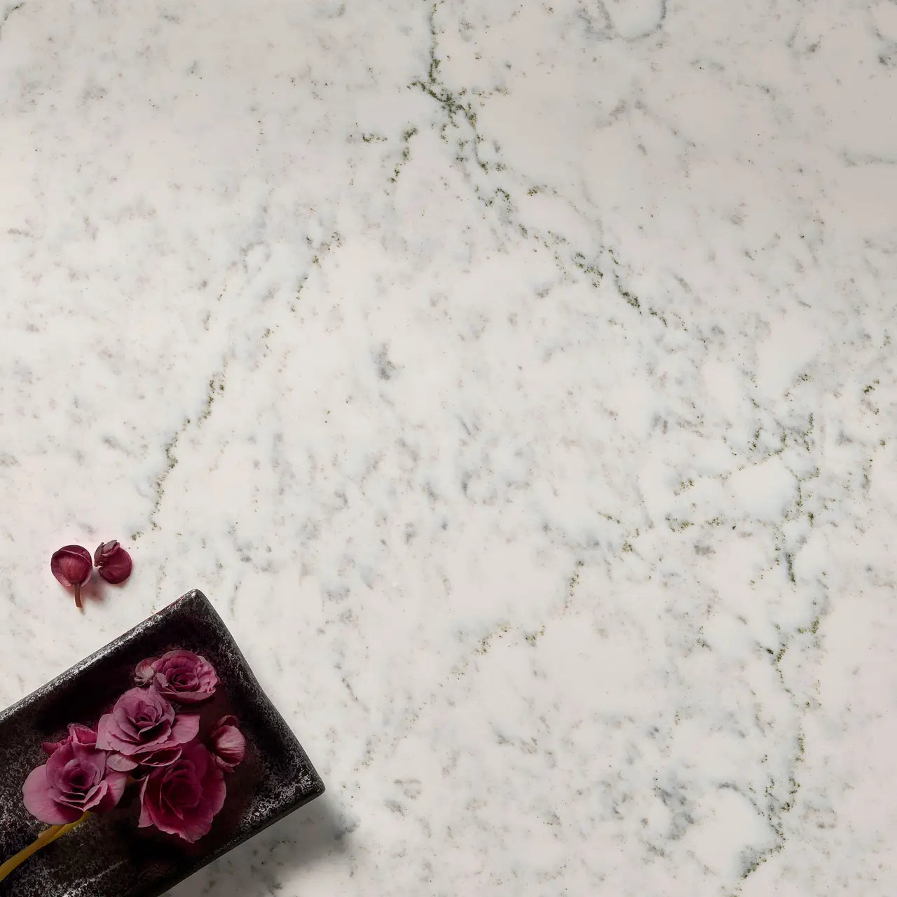 Avalene Cambria Quartz Slab - Rocks in Stock