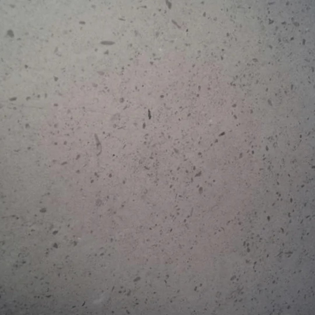 GASCOGNE BEIGE Limestone brushed 2cm thick - Slab