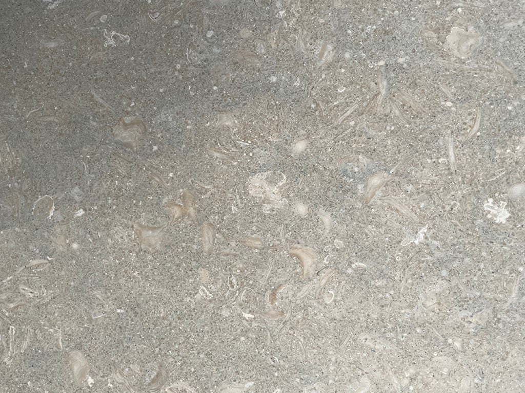 Limestone-Slab-Countertops-SEAGRASS Limestone honed 2cm thick- Stone Supplier - Rocks in Stock