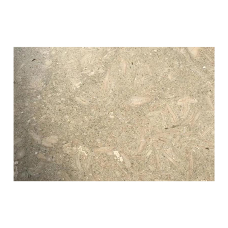 Limestone-Tile-Flooring-SEAGRASS Limestone brushed/filled - Stone Supplier - Rocks in Stock