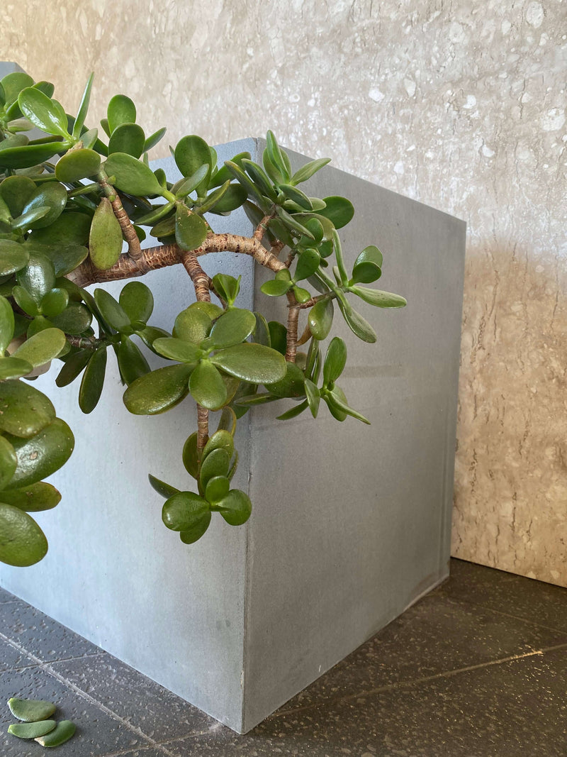 Basalt-Planter-SOLID LAVA GREY Basalt Planter Large- Stone Supplier - Rocks in Stock