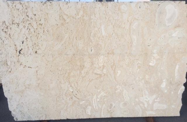 Coral-Slab-Countertops-CORAL GEM Coral saw cut slab 2cm thick- Stone Supplier - Rocks in Stock