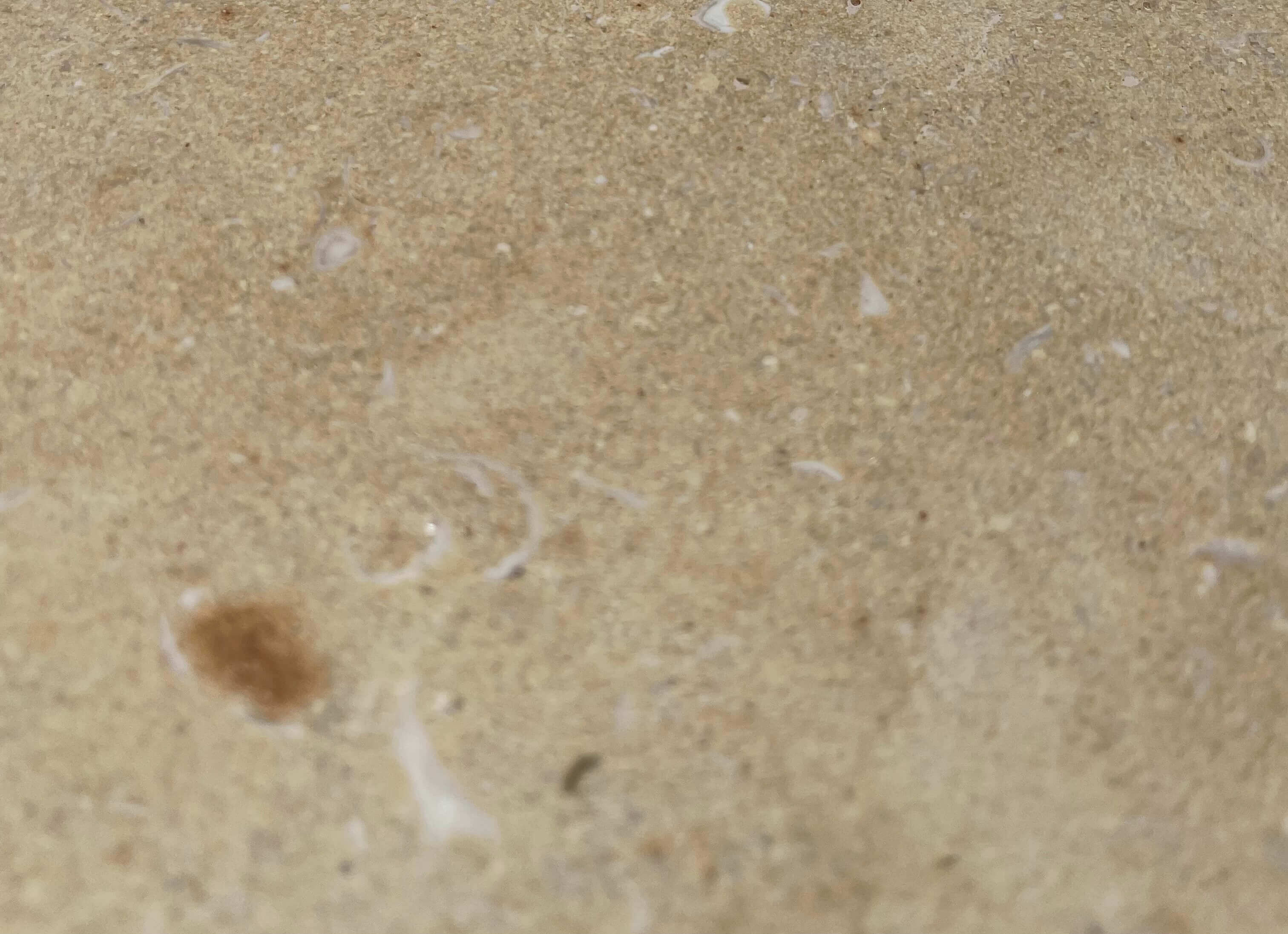 GOLD Limestone honed - 18" x 12" Tile