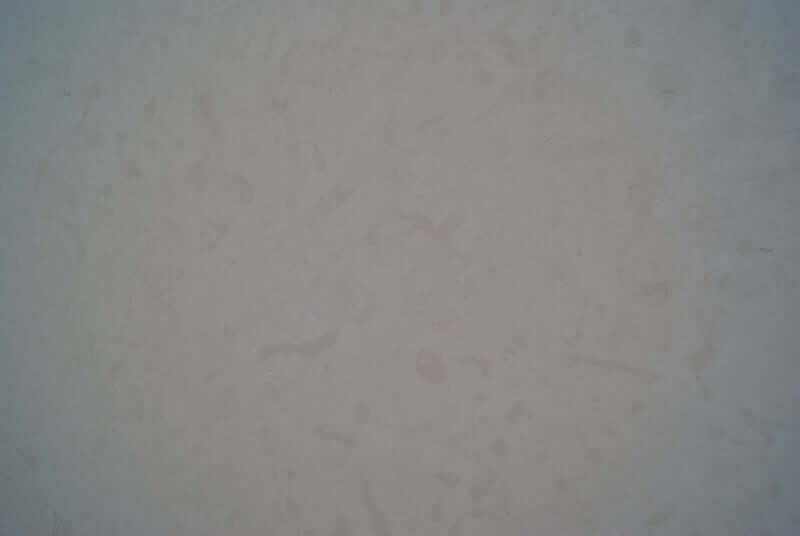 Limestone-Slab-Countertops-NOVELDA CREME Limestone honed slab 2cm thick- Stone Supplier - Rocks in Stock
