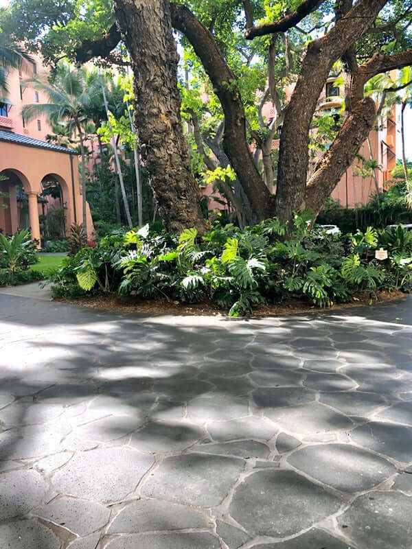 Basalt-Paver-Flagstone-PUKA LAVA GREY Basalt Round Random Edge- Stone Supplier - Rocks in Stock