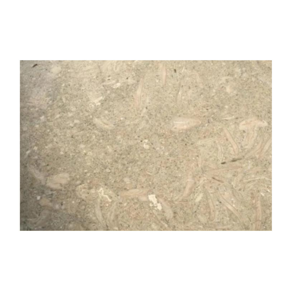 Limestone-Slab-Countertops-SEAGRASS Limestone honed 2cm thick- Stone Supplier - Rocks in Stock